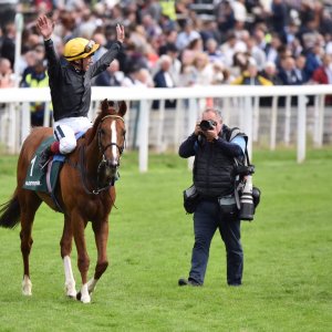 York | Dante Festival | 13/5/22