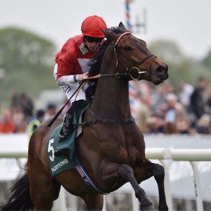 York | Dante Festival | 13/5/22