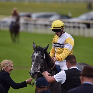 York | Dante Festival | 13/5/22