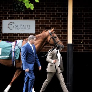 York | Dante Festival | 13/5/22