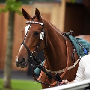 York | Dante Festival | 13/5/22