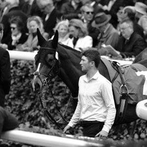 York | Dante Festival | 13/5/22