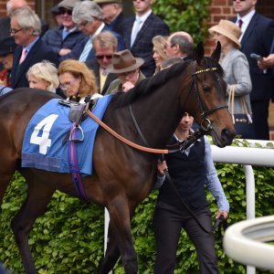 York | Dante Festival | 13/5/22