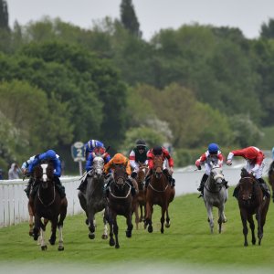 York | Dante Festival | 13/5/22