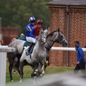 York | Dante Festival | 13/5/22