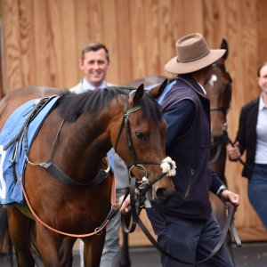 York | Dante Festival | 13/5/22