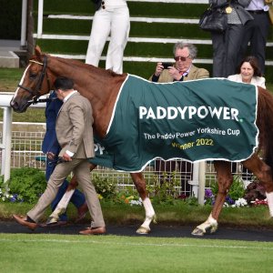 York | Dante Festival | 13/5/22