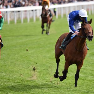 York | Dante Festival | 13/5/22