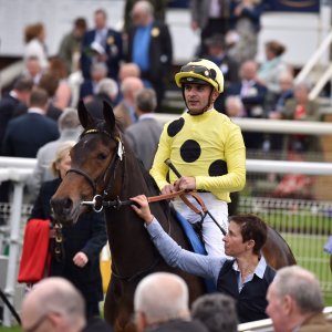 York | Dante Festival | 13/5/22