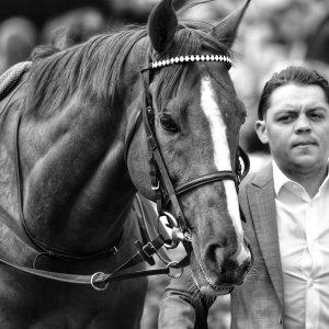 York | Dante Festival | 13/5/22