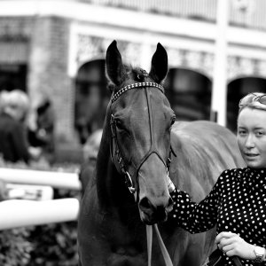 York | Dante Festival | 13/5/22