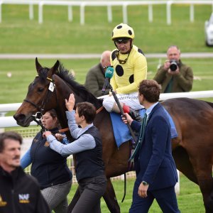 York | Dante Festival | 13/5/22