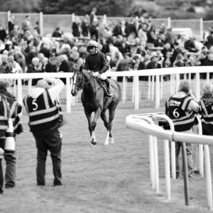 York | Dante Festival | 13/5/22