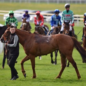 York | Dante Festival | 13/5/22