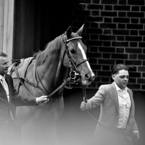 York | Dante Festival | 13/5/22