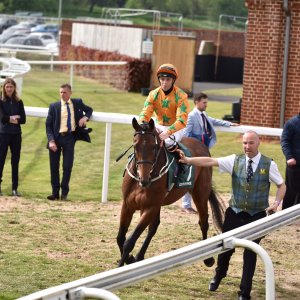 York | Dante Festival | 13/5/22