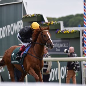 York | Dante Festival | 13/5/22