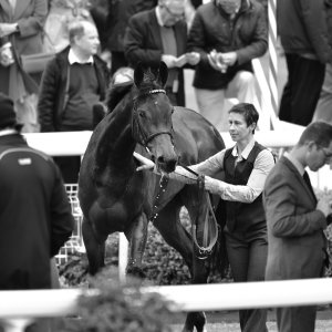 York | Dante Festival | 13/5/22