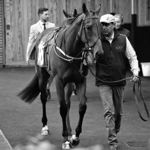 York | Dante Festival | 13/5/22