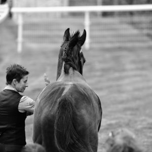 York | Dante Festival | 13/5/22