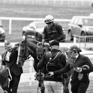 York | Dante Festival | 13/5/22