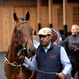 York | Dante Festival | 13/5/22