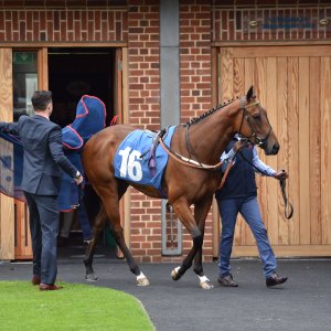 York | Dante Festival | 13/5/22