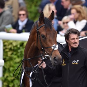 York | Dante Festival | 13/5/22