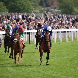 York | Dante Festival | 13/5/22