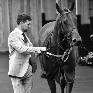 York | Dante Festival | 13/5/22