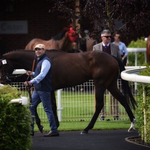 York | Dante Festival | 13/5/22