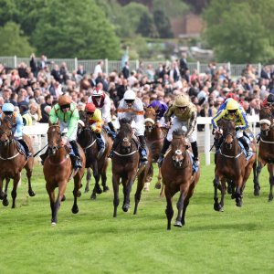 York | Dante Festival | 13/5/22