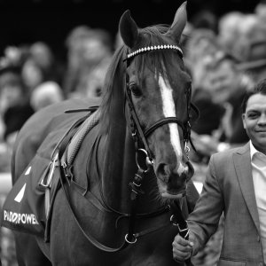 York | Dante Festival | 13/5/22