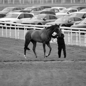 York | Dante Festival | 13/5/22