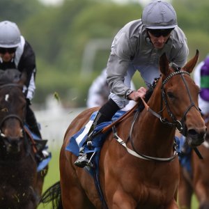 York | Dante Festival | 13/5/22