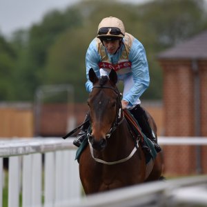 York | Dante Festival | 13/5/22