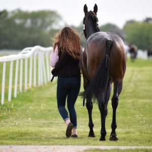 York | Dante Festival | 13/5/22