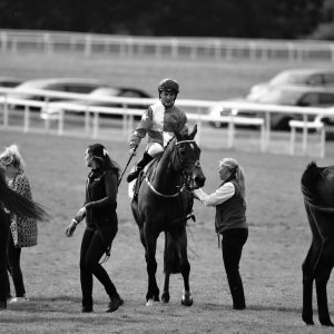 York | Dante Festival | 13/5/22