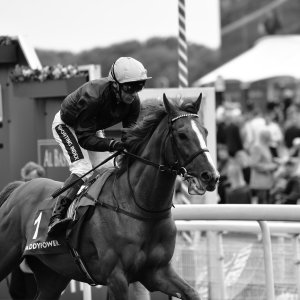 York | Dante Festival | 13/5/22