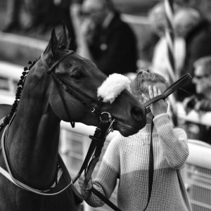 York | Dante Festival | 13/5/22