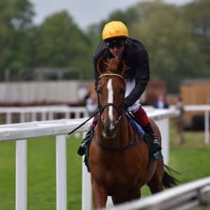 York | Dante Festival | 13/5/22