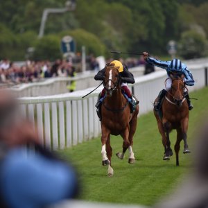 York | Dante Festival | 13/5/22