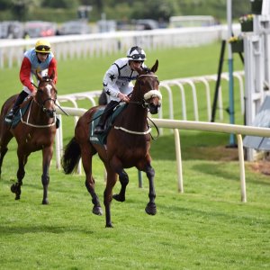 York | Dante Festival | 13/5/22