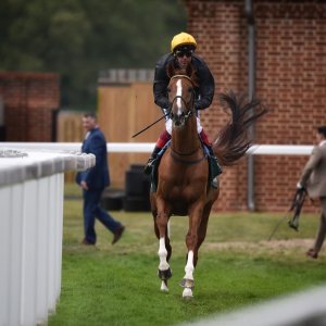 York | Dante Festival | 13/5/22