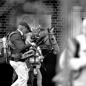 York | Dante Festival | 13/5/22