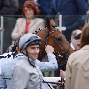 York | Dante Festival | 13/5/22