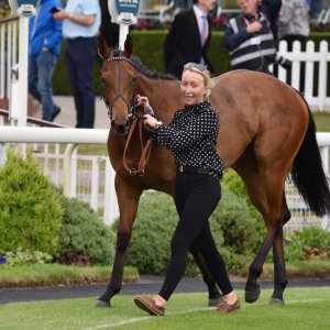 York | Dante Festival | 13/5/22