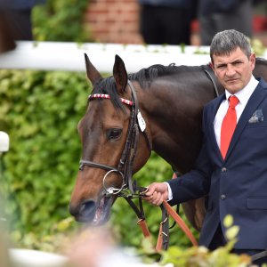 York | Dante Festival | 13/5/22