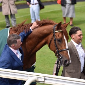 York | Dante Festival | 13/5/22