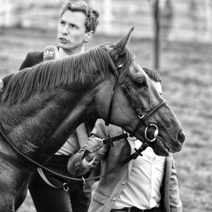 York | Dante Festival | 13/5/22